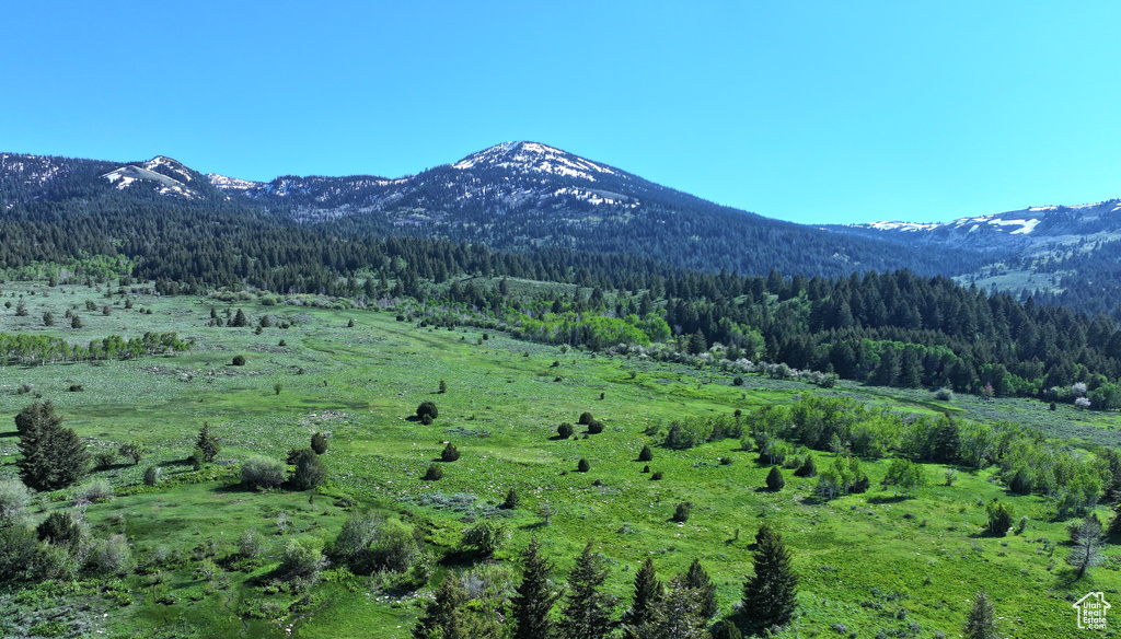 View of mountain background featuring a heavily wooded area