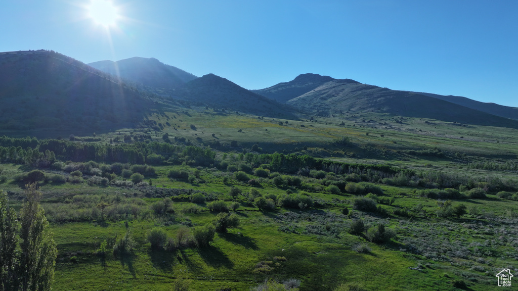View of mountain background