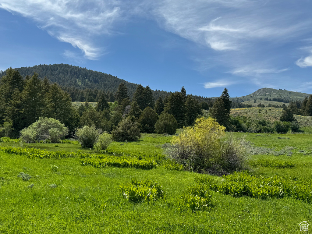 View of mountain backdrop