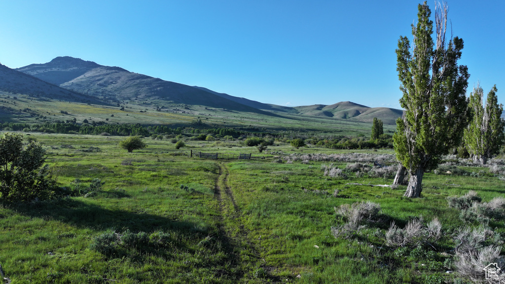 Mountain view