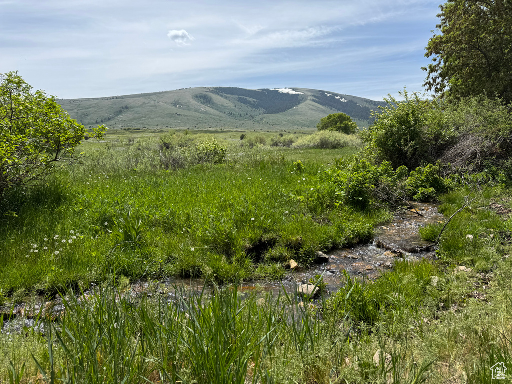 View of mountain background