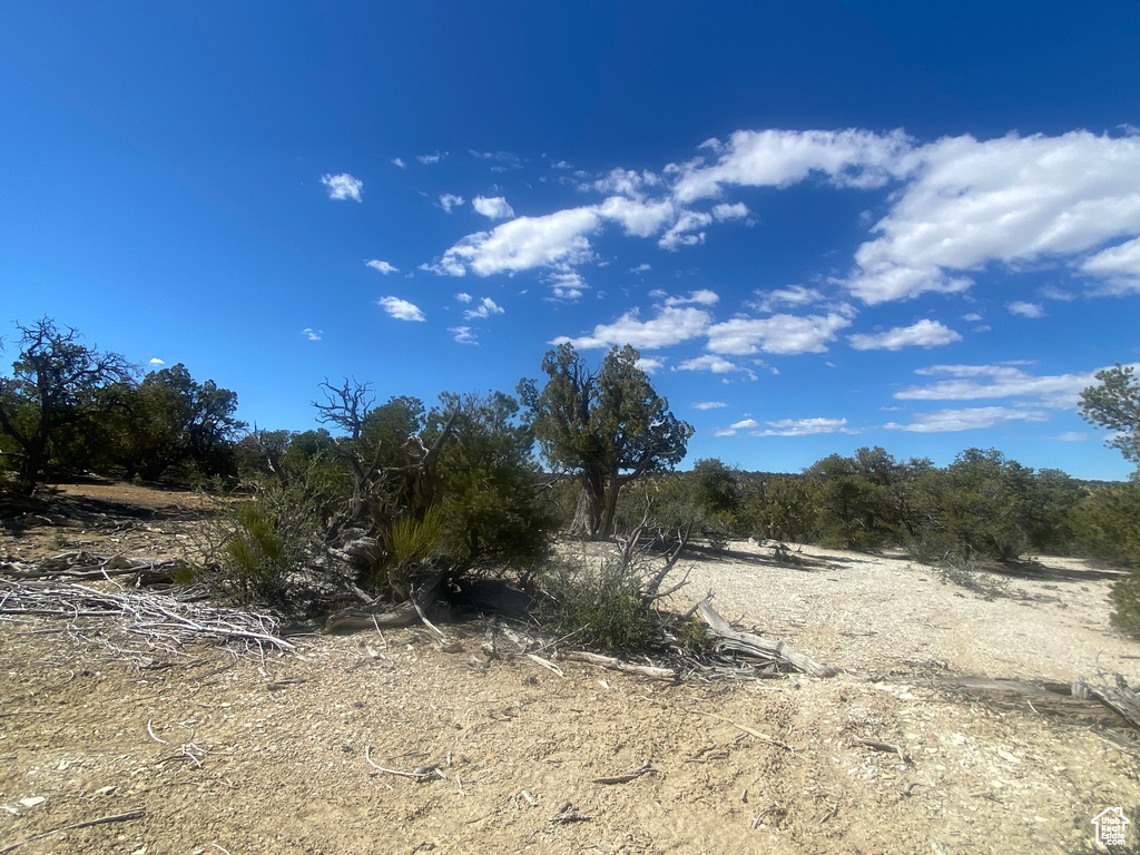 View of landscape