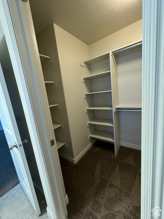 Spacious closet featuring carpet floors