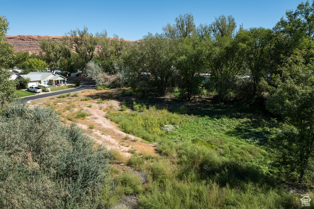 View of local wilderness