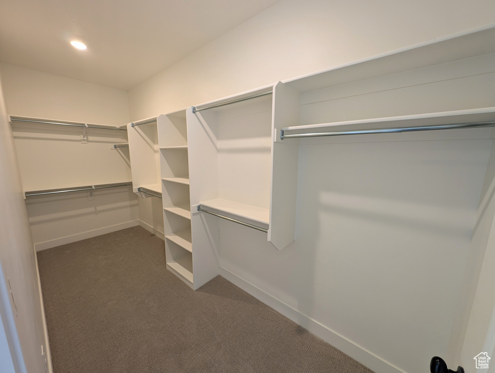 Walk in closet with dark colored carpet