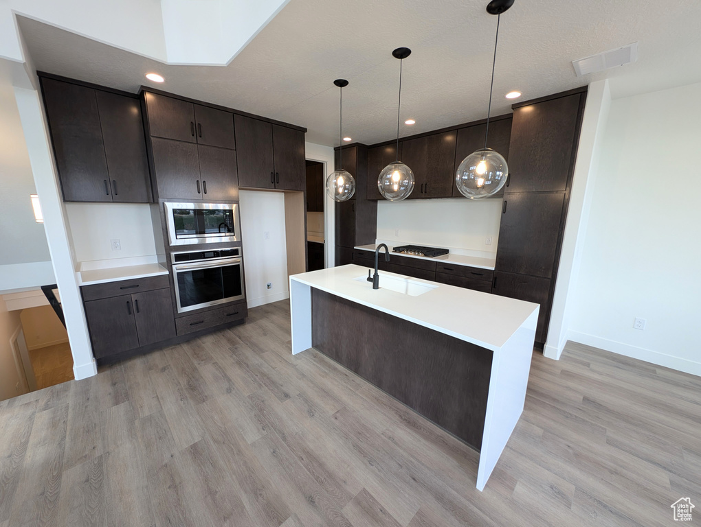 Kitchen with light hardwood / wood-style floors, hanging light fixtures, sink, and stainless steel appliances