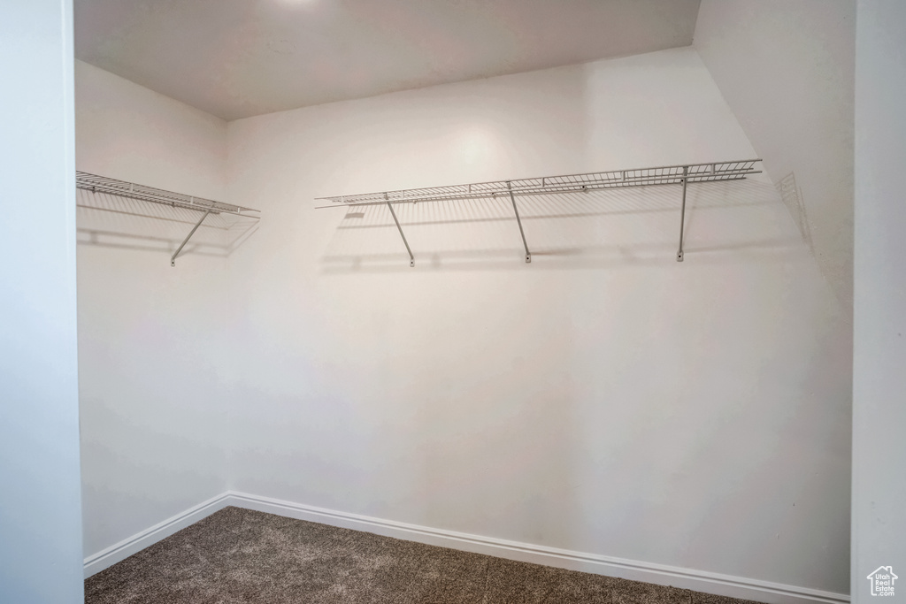 Spacious closet with carpet flooring