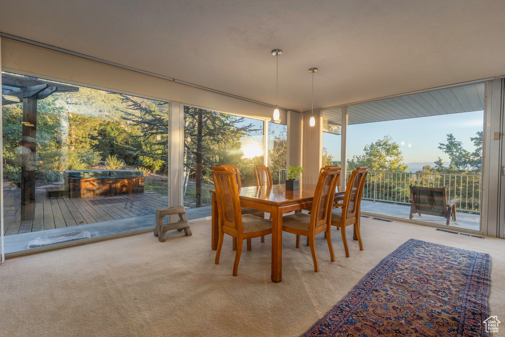 Carpeted dining area featuring floor to ceiling windows