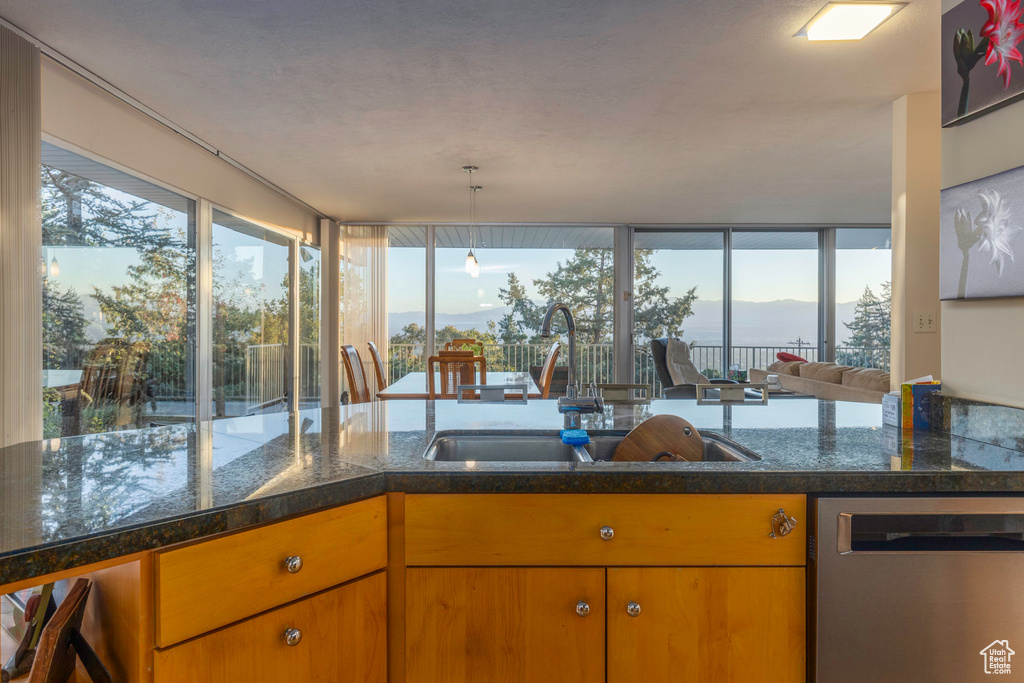 Kitchen with a mountain view, sink, and stainless steel dishwasher