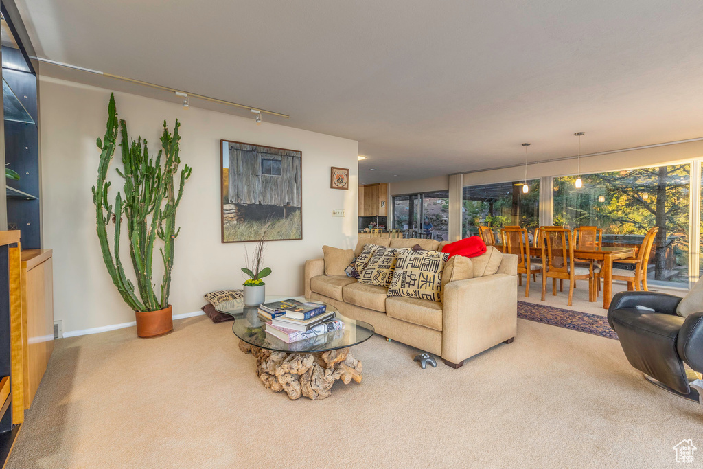 Living room with carpet