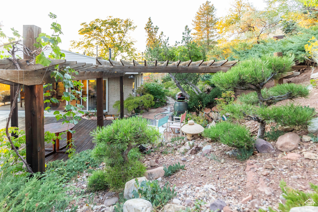 View of yard with a wooden deck and a pergola