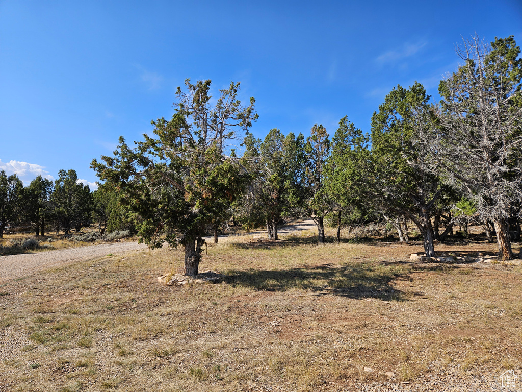 View of yard featuring a rural view