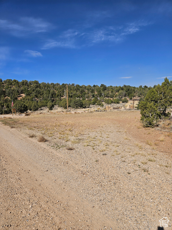 View of local wilderness