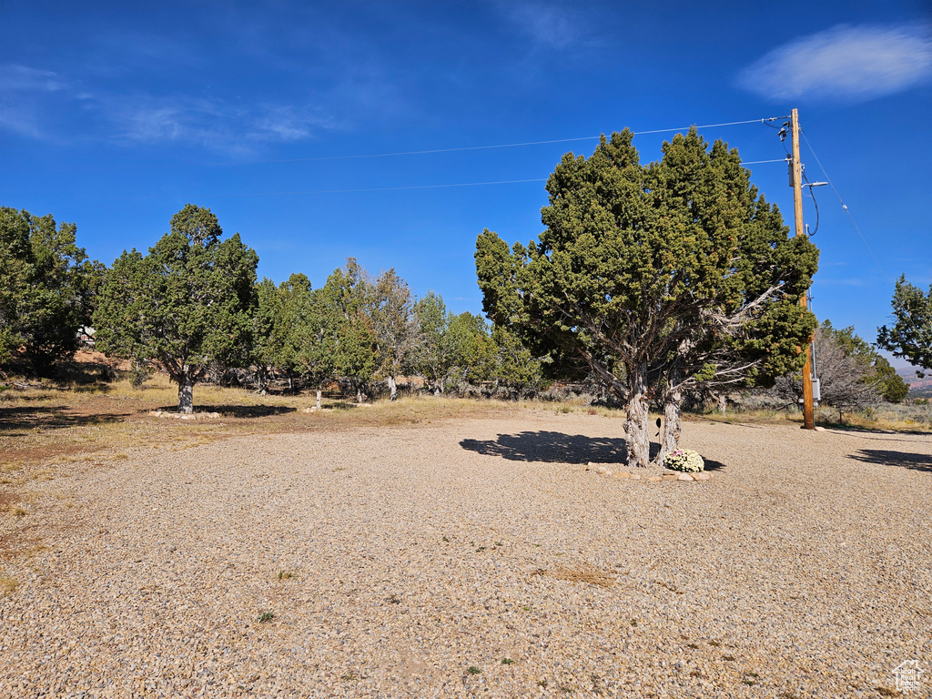 View of yard with a rural view