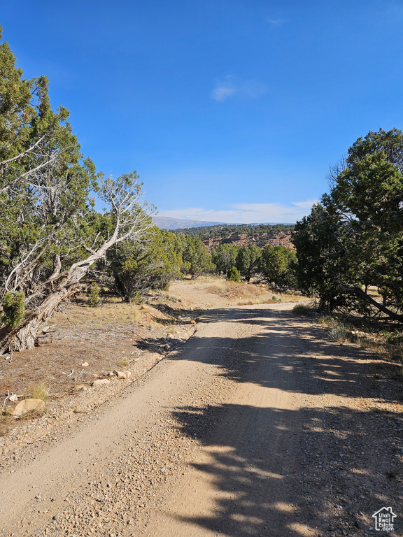 View of road