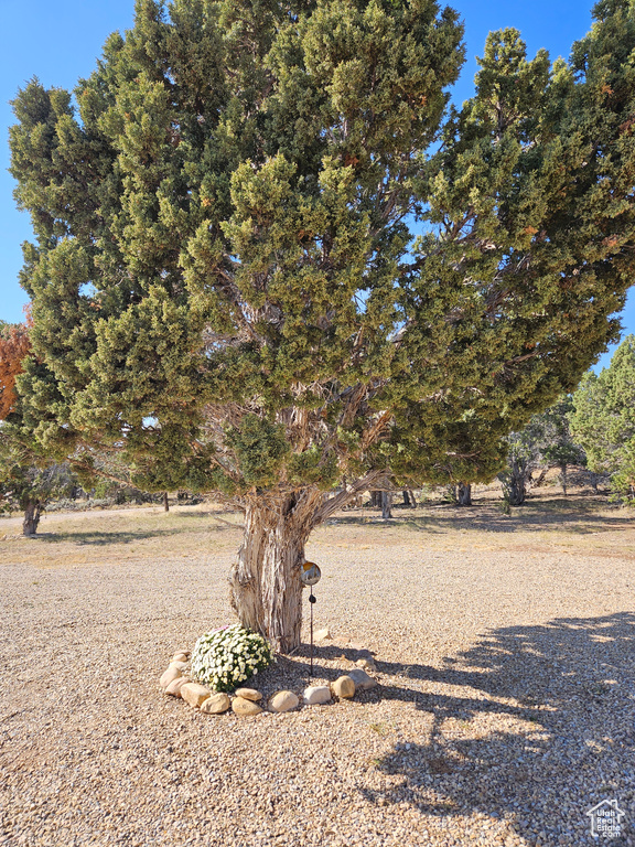 View of yard with a rural view