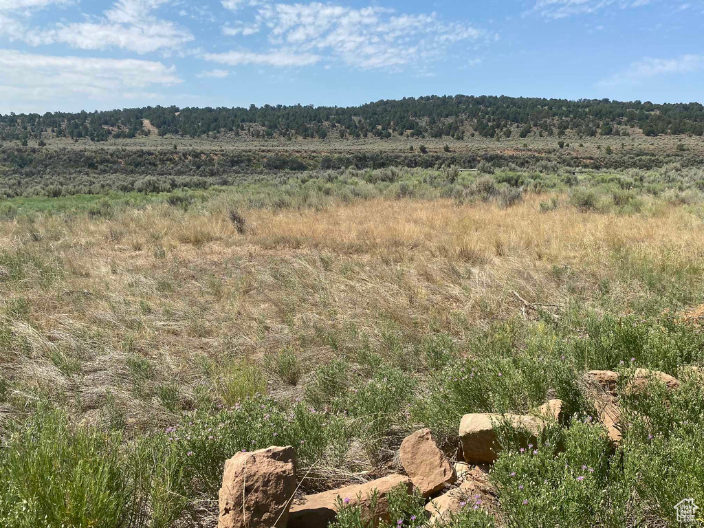 View of local wilderness featuring a rural view