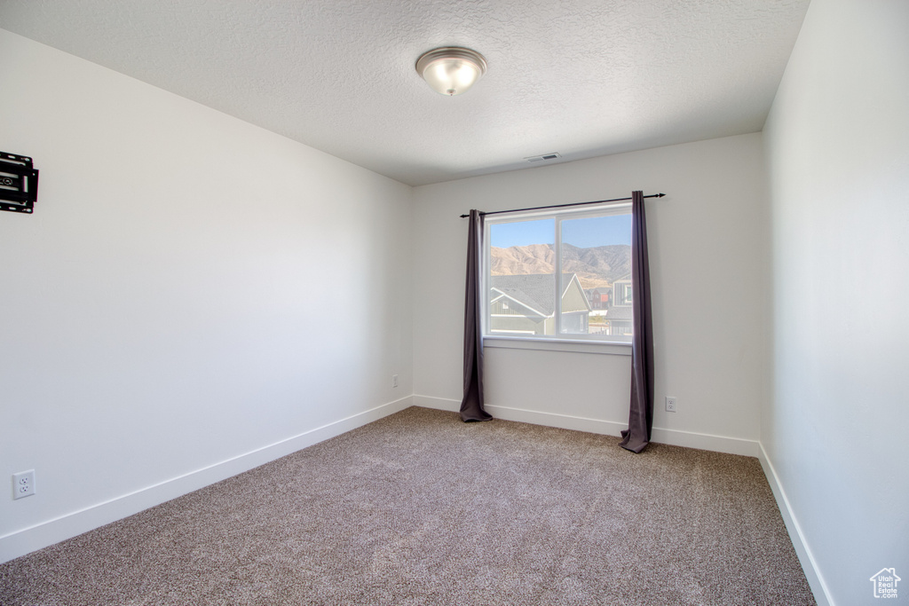 Carpeted spare room with a textured ceiling