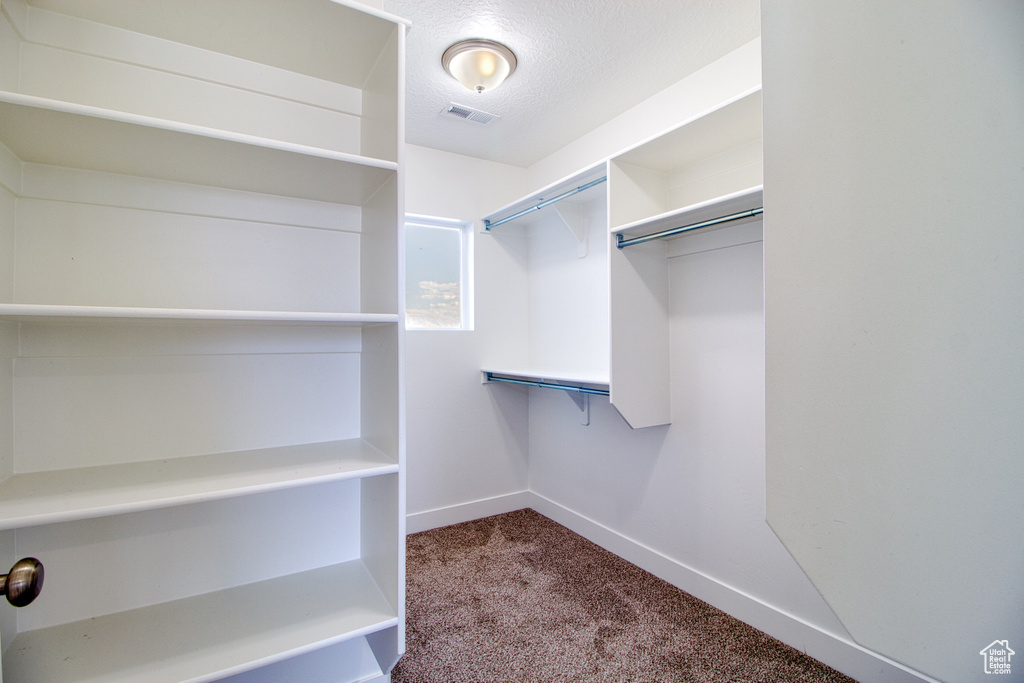 Walk in closet featuring carpet