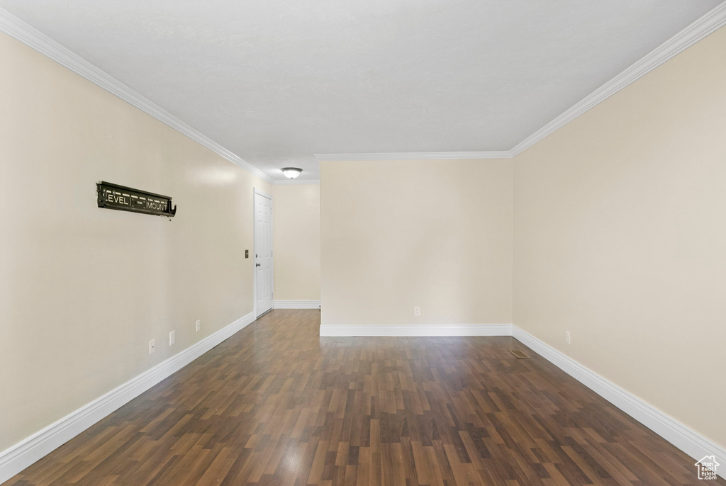 Spare room with crown molding and dark wood-type flooring