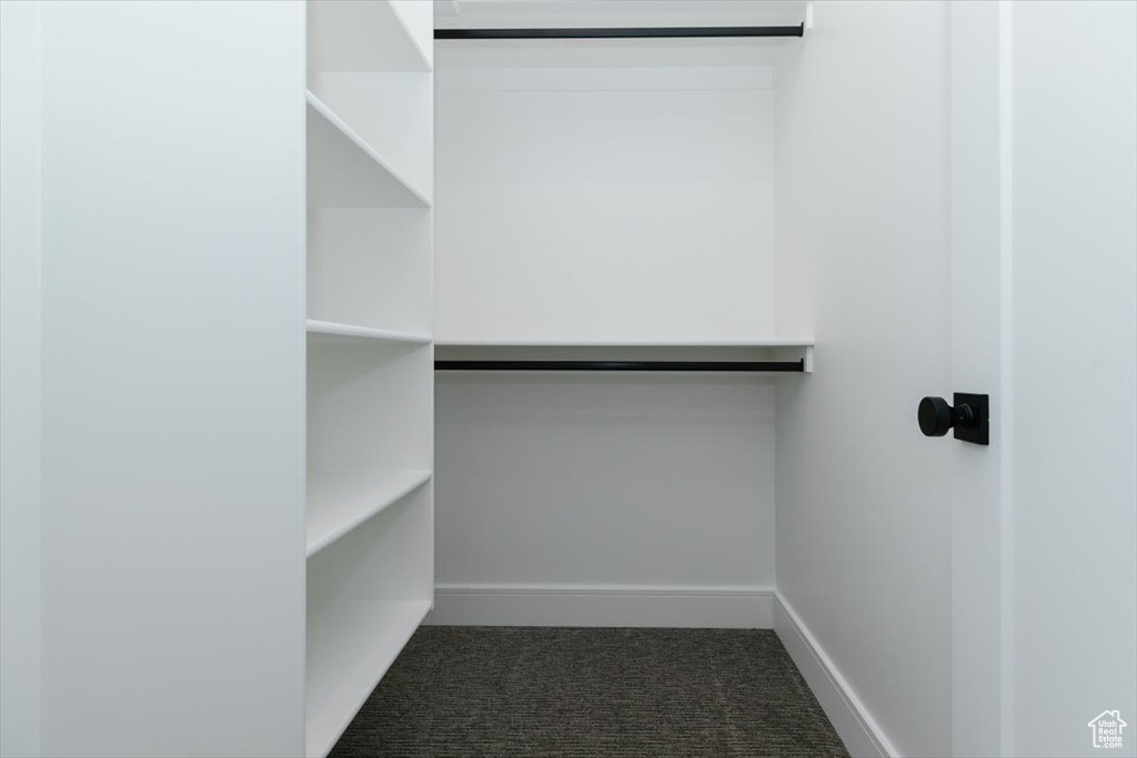 Spacious closet featuring dark carpet