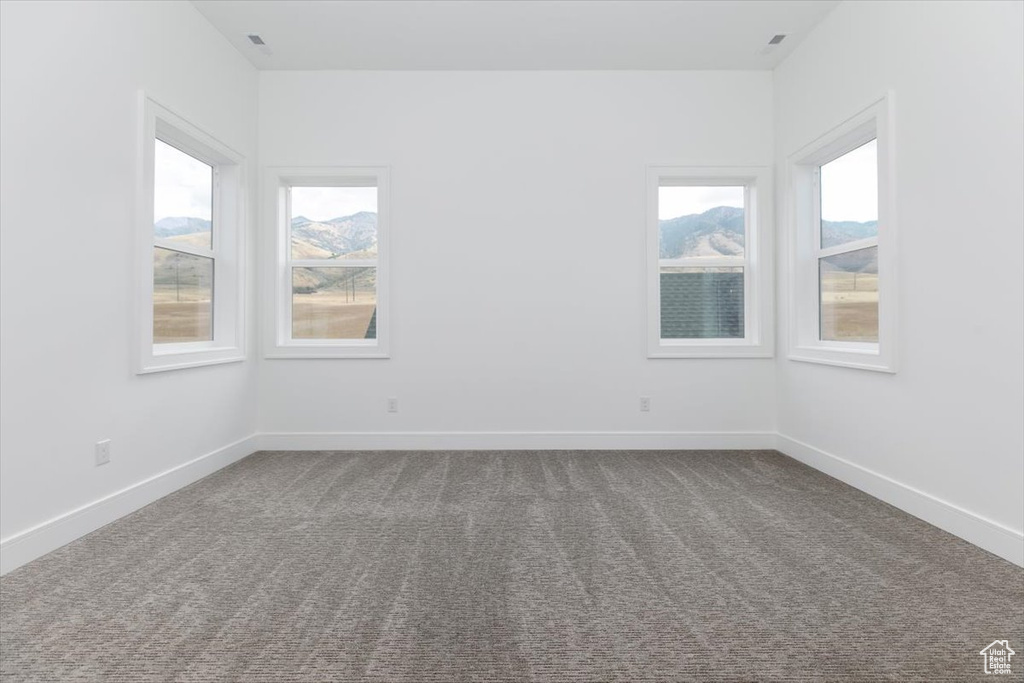 Carpeted empty room with a wealth of natural light