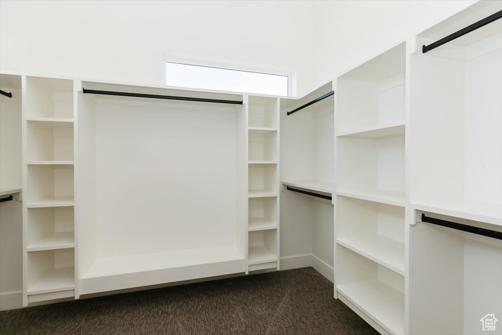 Spacious closet featuring dark carpet