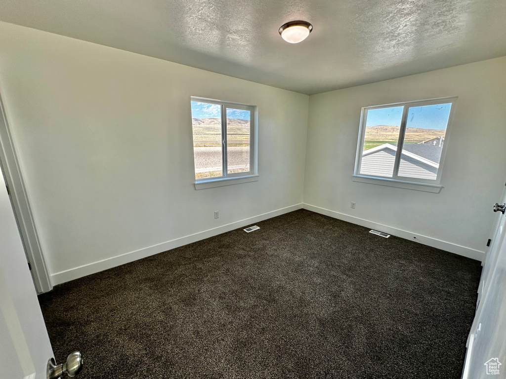 Carpeted empty room featuring a textured ceiling and a healthy amount of sunlight