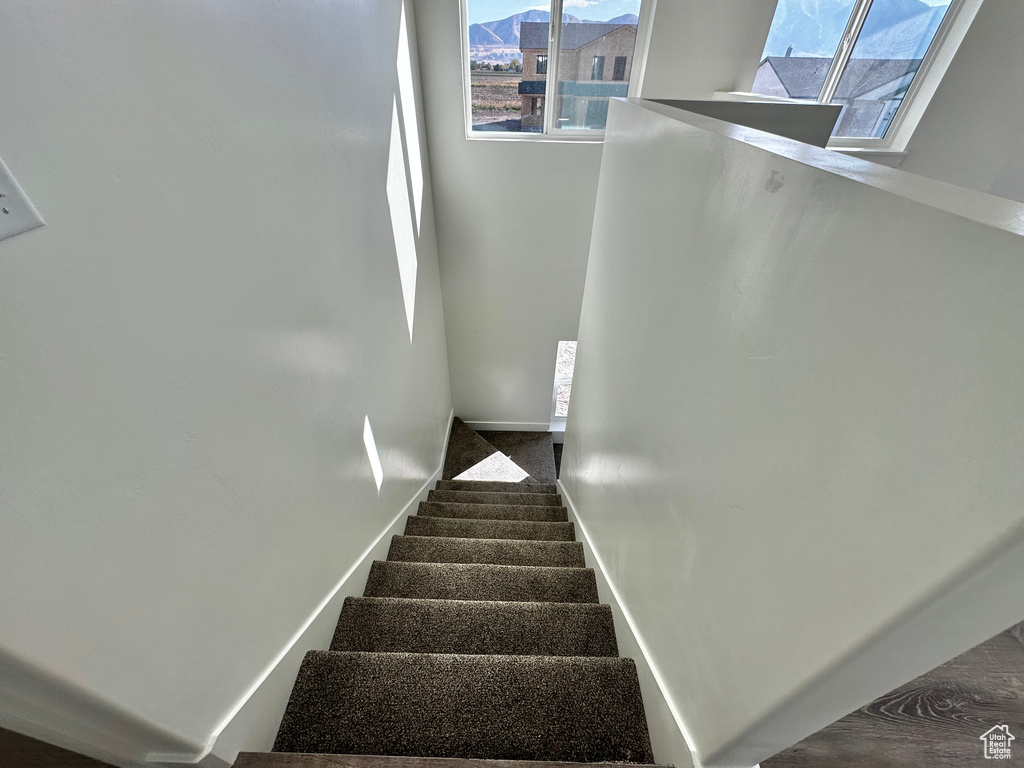 Stairs featuring hardwood / wood-style floors