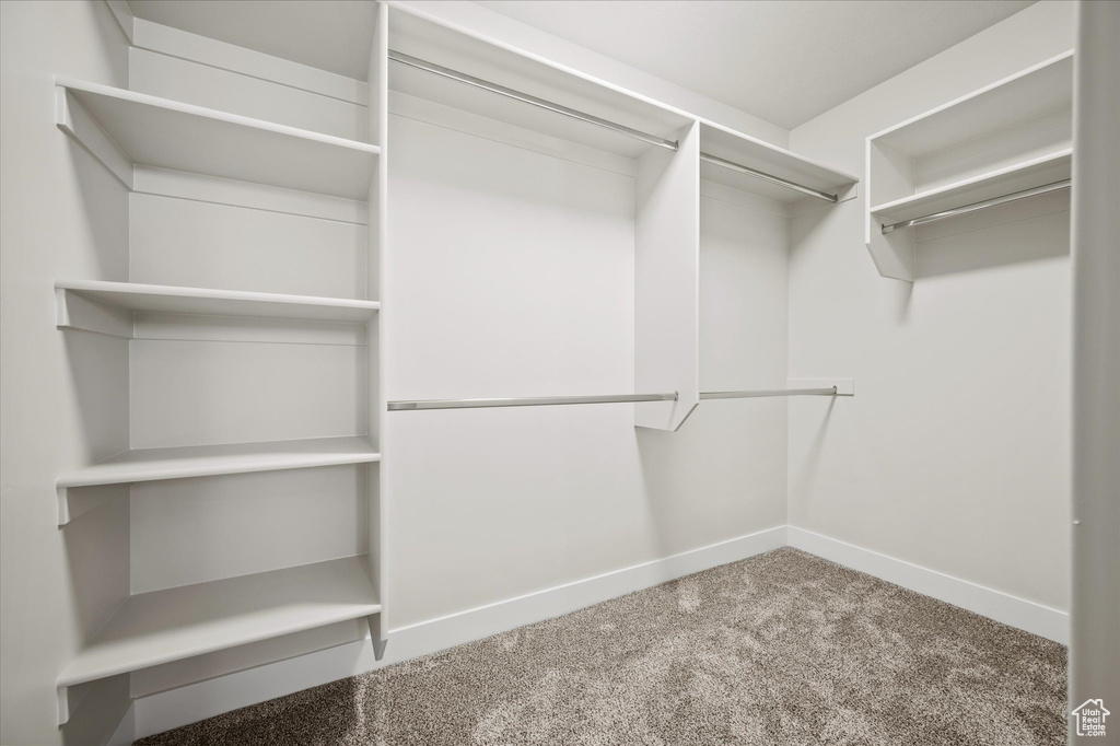 Spacious closet with carpet floors