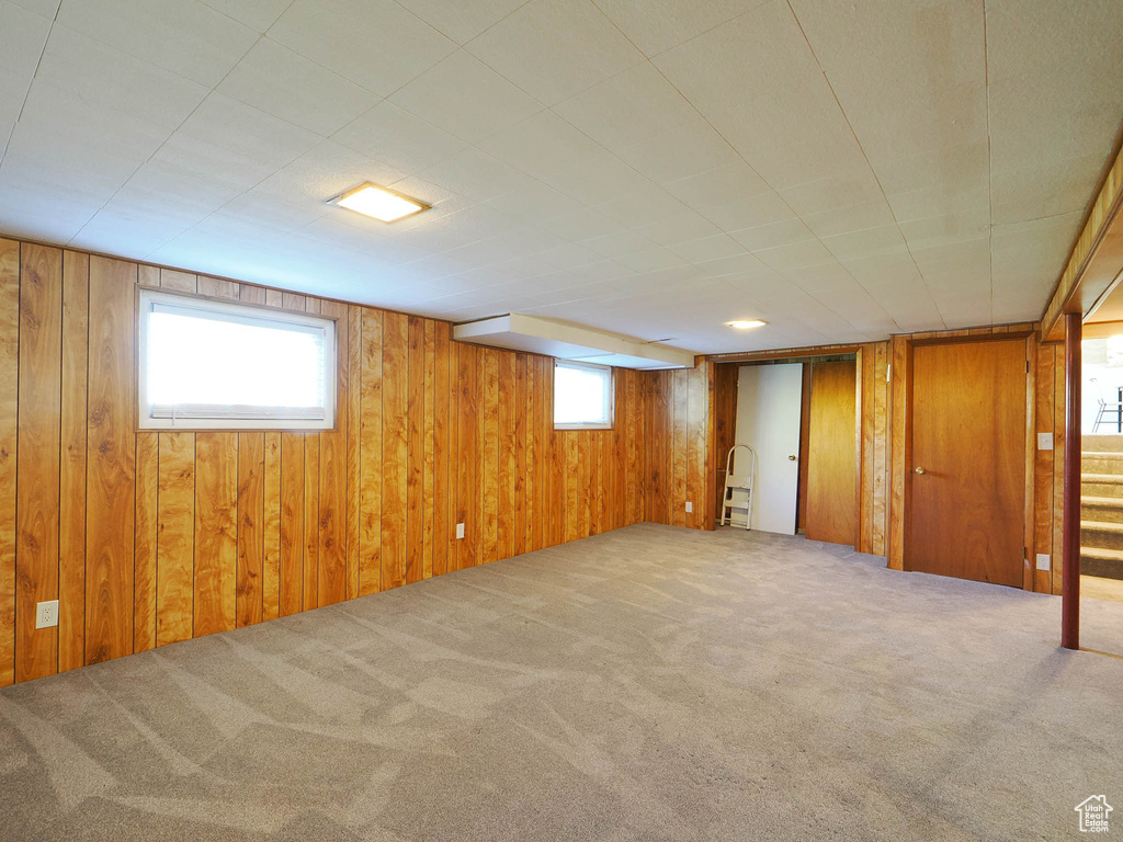 Basement with carpet floors and wooden walls