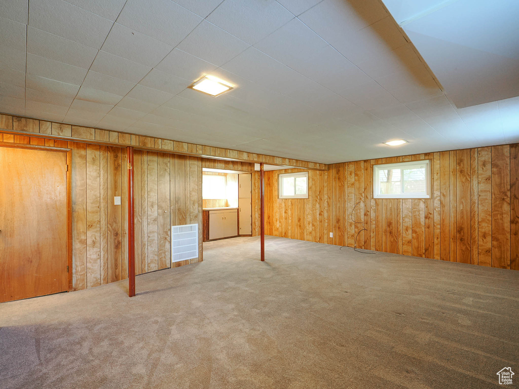 Basement featuring wood walls and carpet