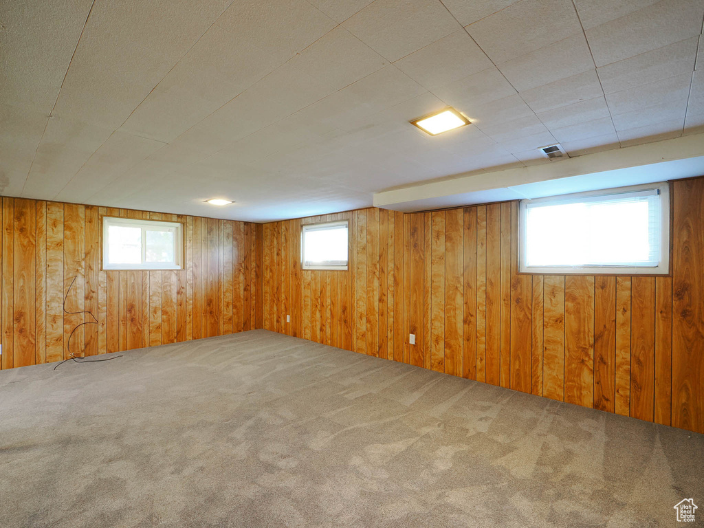 Basement featuring wooden walls and carpet floors