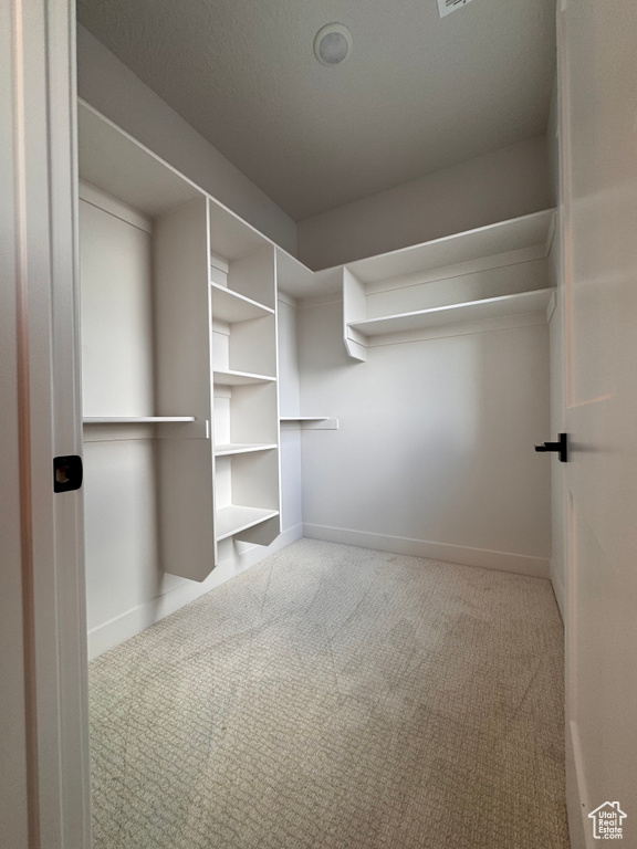 Spacious closet with light carpet