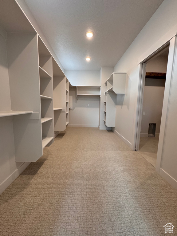 Spacious closet featuring light carpet