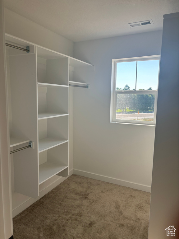 Spacious closet with carpet floors