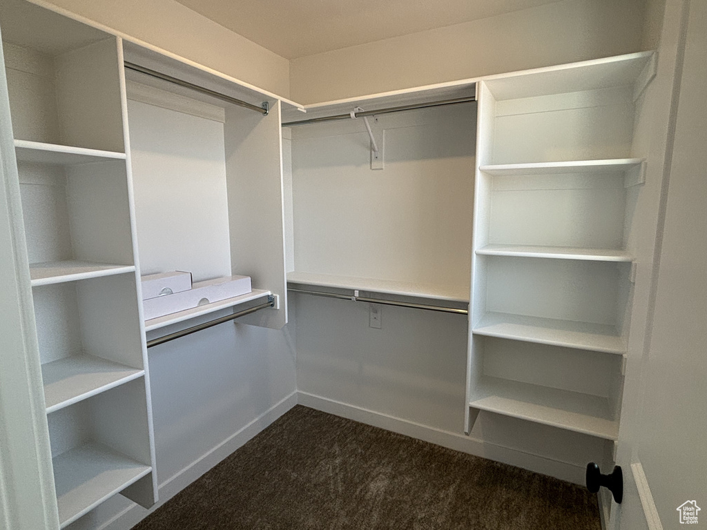 Walk in closet with dark colored carpet