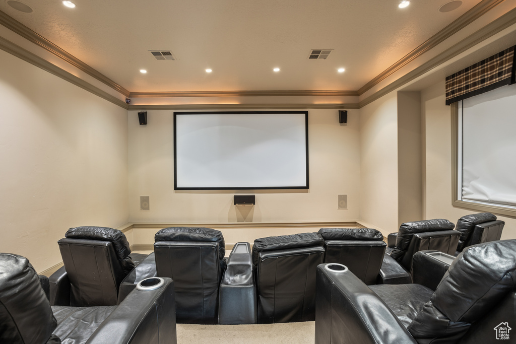 Cinema with crown molding and carpet floors