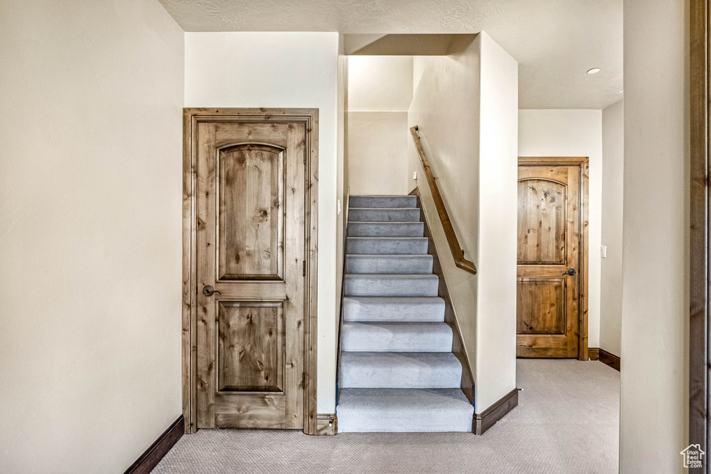 Stairs with carpet floors