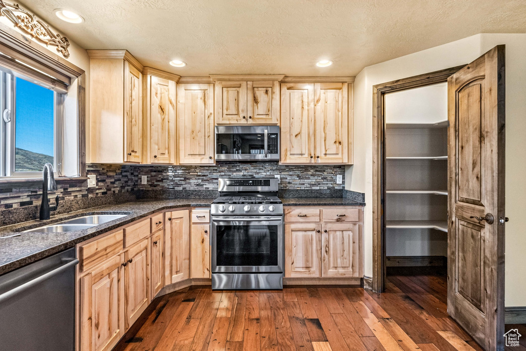 Kitchen featuring stainless steel appliances, light brown cabinetry, dark hardwood / wood-style floors, and sink