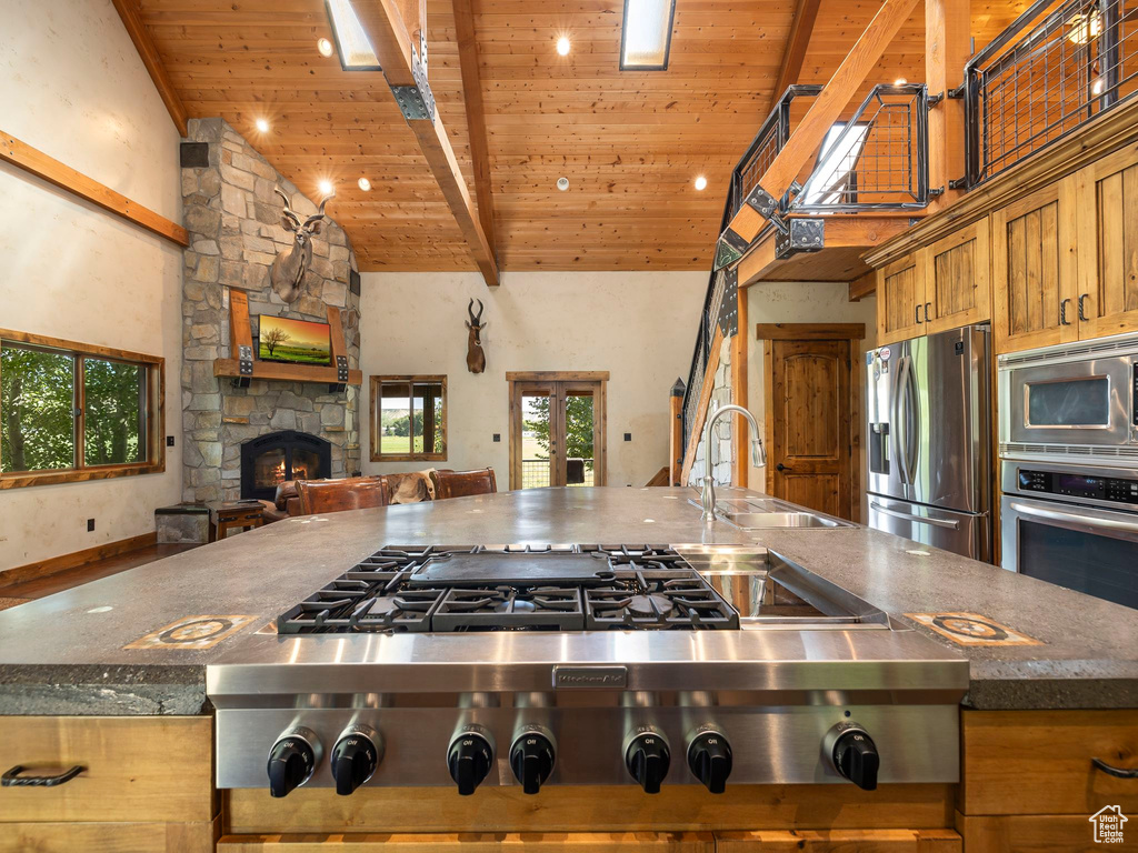 Kitchen with appliances with stainless steel finishes, a fireplace, sink, and a healthy amount of sunlight