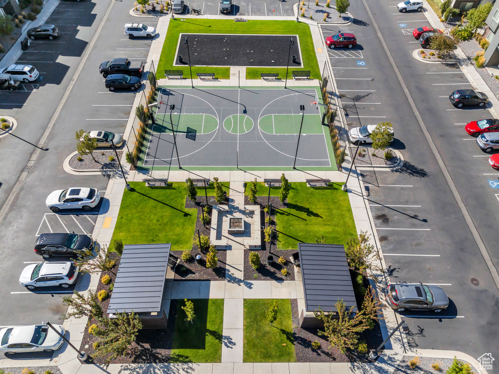 Bird\'s eye view
