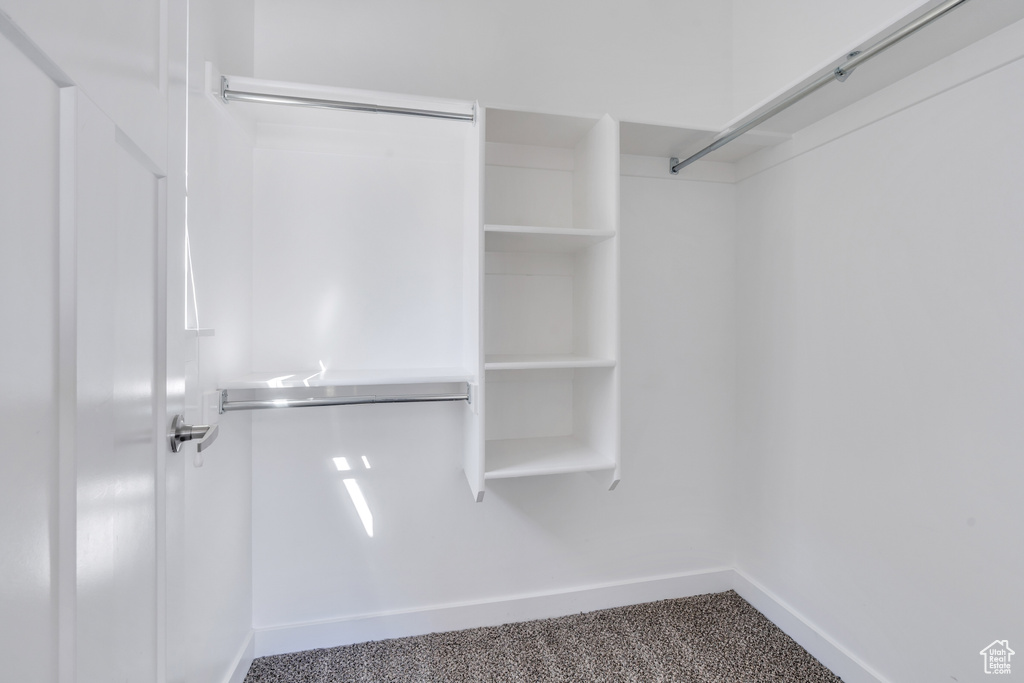 Spacious closet featuring carpet floors