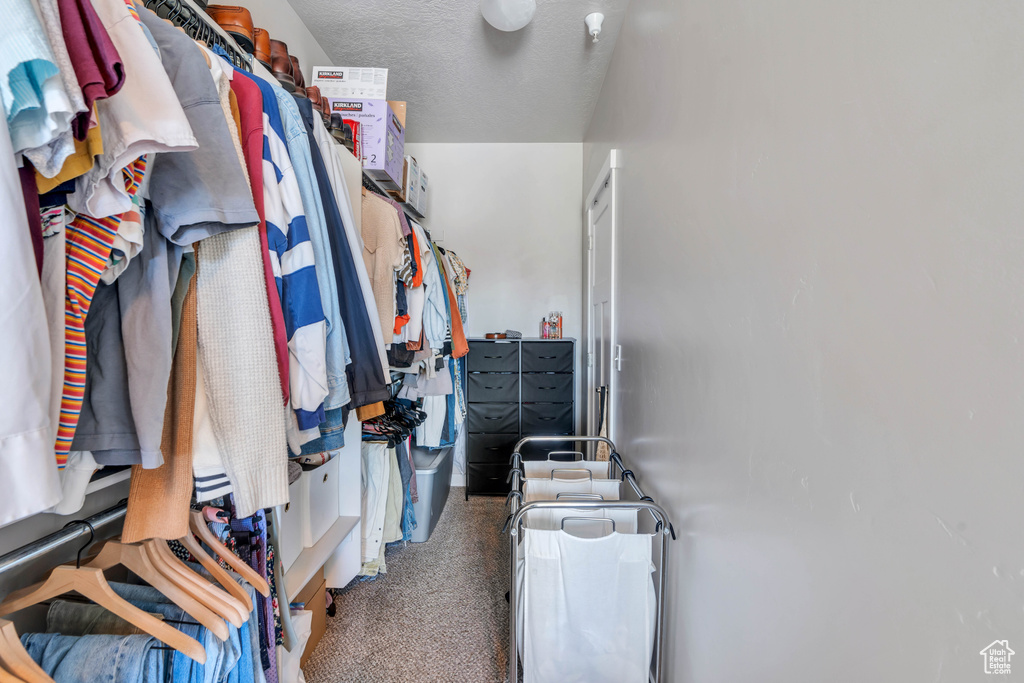 Walk in closet with dark colored carpet