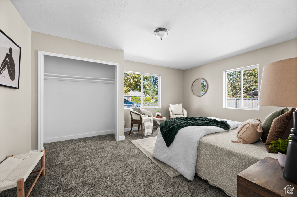 Carpeted bedroom featuring multiple windows and a closet