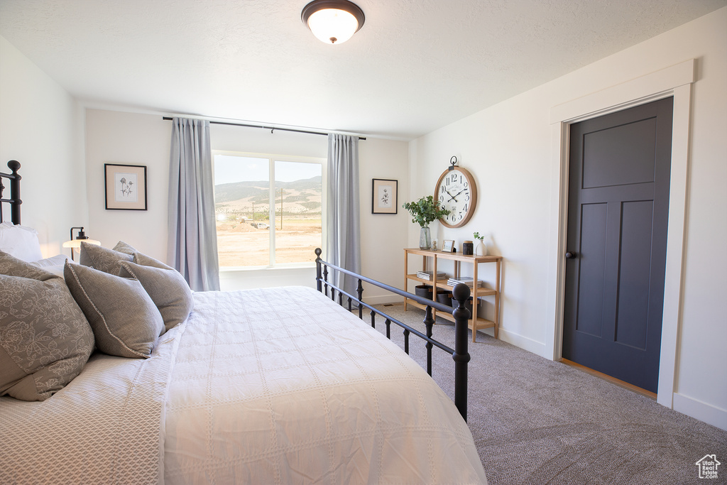 Carpeted bedroom featuring a mountain view