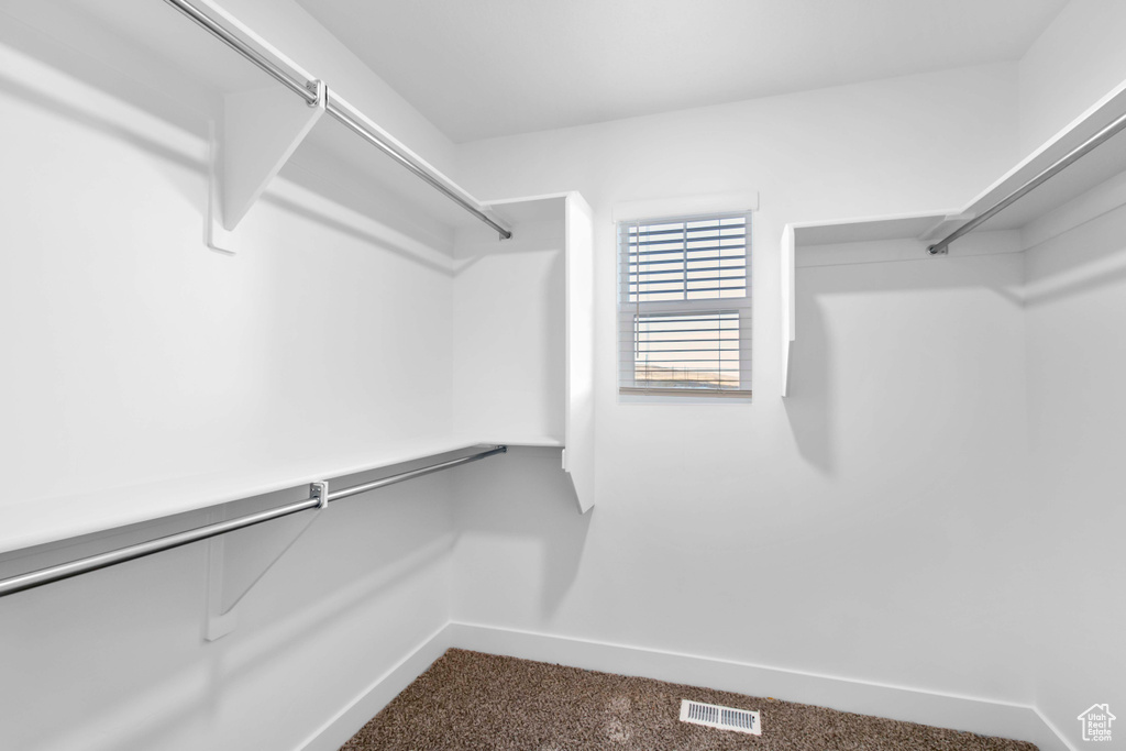 Spacious closet with carpet floors