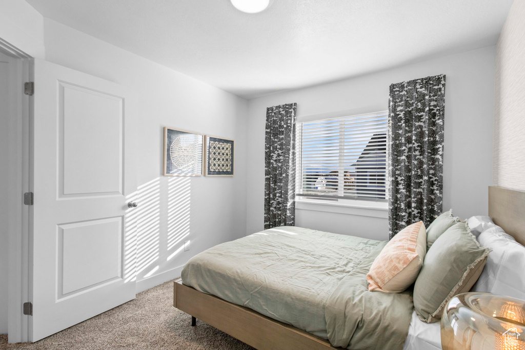 Bedroom featuring carpet floors