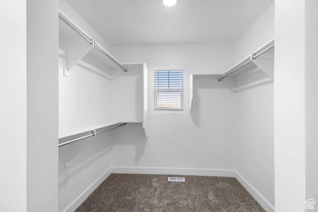 Spacious closet featuring carpet floors