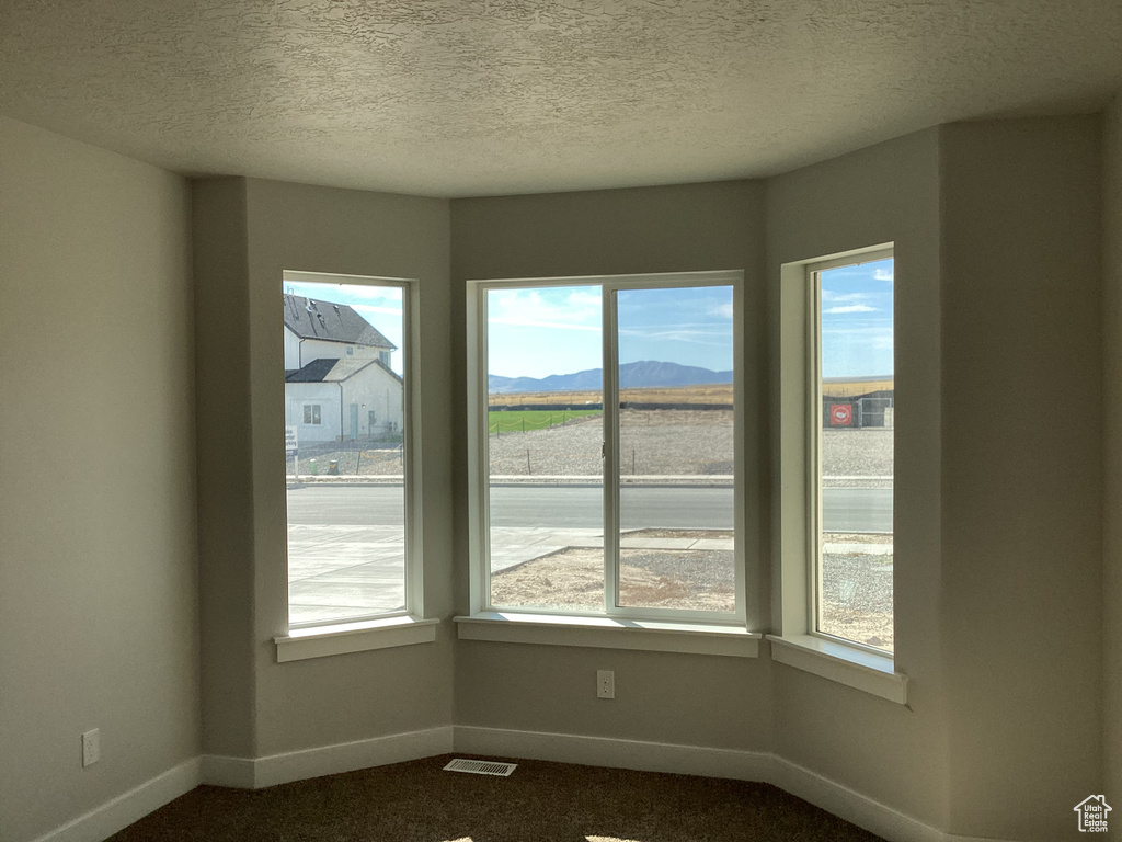 Spare room featuring a mountain view, a wealth of natural light, carpet flooring, and a textured ceiling